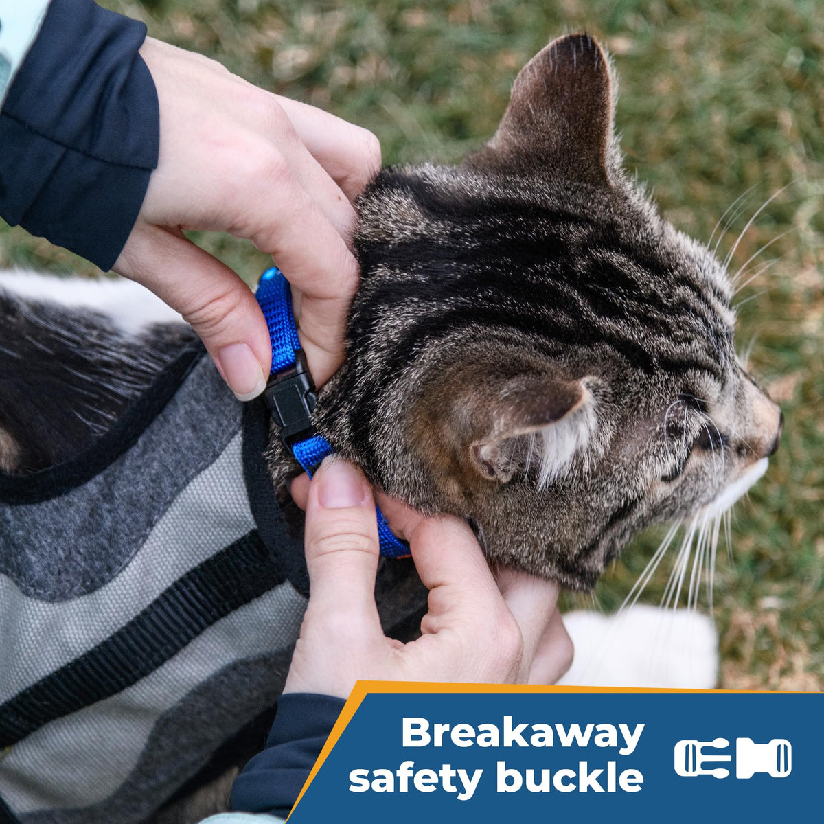 Personalized Cat Collars with Breakaway Safety Release Buckle O99035