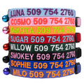 Personalized Cat Collars with Breakaway Safety Release Buckle O99035